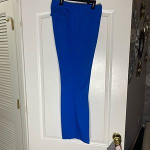 Express columnist dress pant size 10R